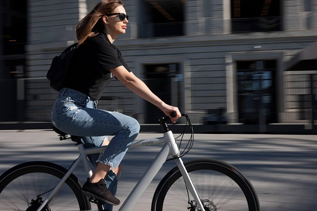 ebike